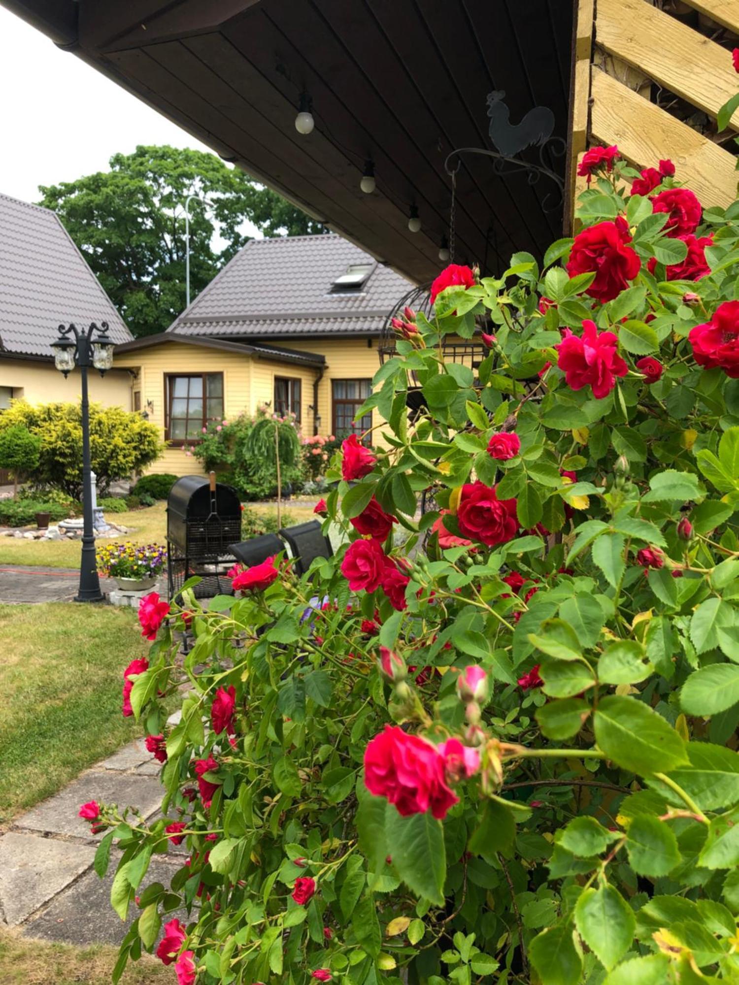 Anni Apartment Ventspils Bagian luar foto