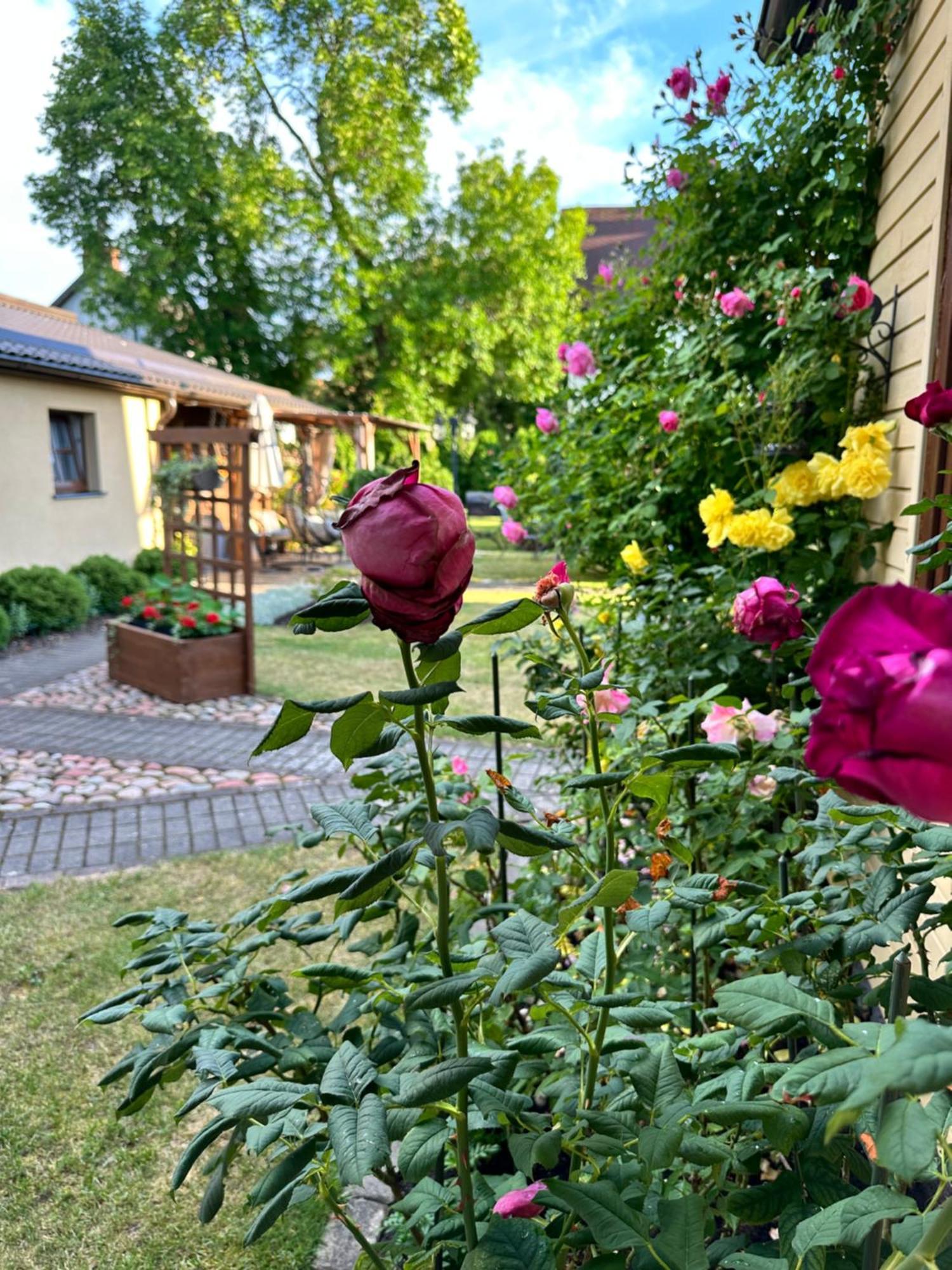 Anni Apartment Ventspils Bagian luar foto